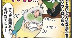 やはり魅力的なニンゲンのおやつ🦜🤲