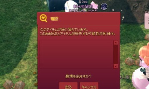 農場に謎のアイテムが落ちている（落ちていない）ことがあるらしい…