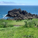 バンガードS&P500ETF(VOO)に投資するりんりのブログ