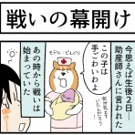 柴犬どんぐり三毛猫たんぽぽ