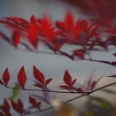 神の言葉：男性のエゴ