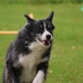 【犬がいる幸せ】姉の力は偉大！幸せが伝染するこの笑顔♪