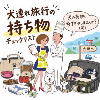 【犬連れ九州旅行】長距離ドライブの持ち物完全リスト！車載便利グッズと愛犬の安全対策」