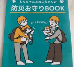 🐾お守り🤲