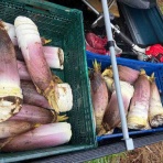 品川村村長ブログ。（公式）