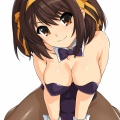 バニーハルヒさん
