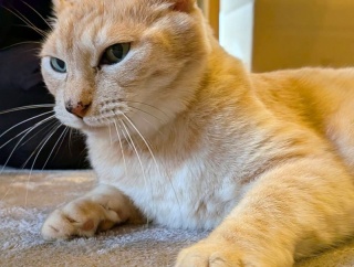 麦くん便り　2026年版