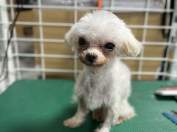 みかんとピーチちゃん🍑愛の奇跡が❤️