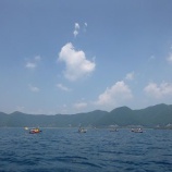 ��8��11�������Х��̡��ĥ����٤β���