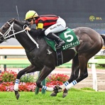 ☆うまなみ・競馬にゅーす速報