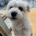 千葉県松戸市にあるペットショップワンラブ イオンフードスタイル新松戸店のスタッフブログ