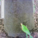 『東隅随筆』801号