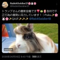 トランプ大統領のTruth Social 投稿集~ 2026 6/2- 4