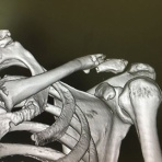 かごしま再発見の旅へようこそ