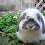 続・リッチをめぐる冒険 （月うさぎとまゆママ編）