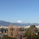 曾我丘陵（1月会山行）