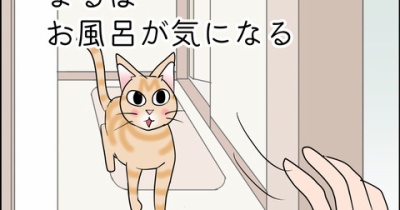 あんこ＆麦2401 まるはお風呂が気になる