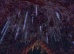 ScreenShot00239
