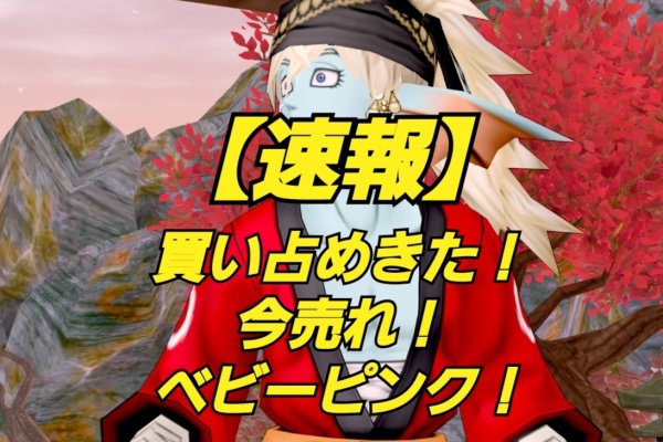 まみむめもっちのドラクエ１０日記 お花相場