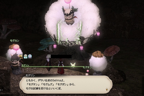 真ビスマルク討滅戦 Lost Hollow In Eorzea