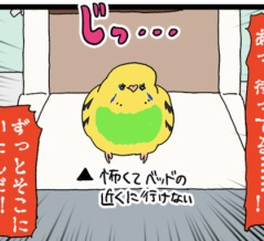 根気強いぞ！待機リエル🦜