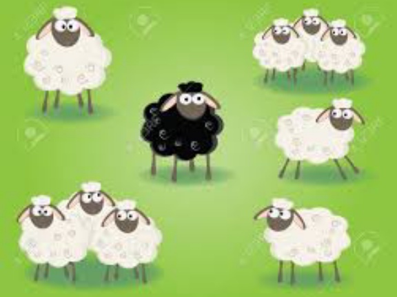 🍂やはり「黒い羊」かもね🐏