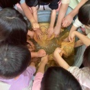 卒園祝いの桜染め