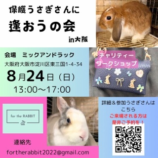 for the RABBIT【保護うさぎの里親探し】