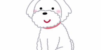 【驚愕】群馬で女性がクマに襲われ転倒、柴犬が吠えて撃退する勇敢な行動に称賛の声