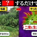 除草剤を使わず、超簡単に雑草を枯らす方法