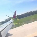 【悲報】バッタさん、パルクール失敗