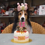 メロディ＆ミニーの写真館