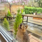 人魚がドレスに着替えたら