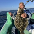 イワシの泳がせ　マハタ