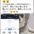 JUSTICK DOUBLE-R 460 MAX HD & REVE POWORZONE