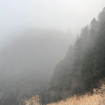 快釣の何とかなるさ