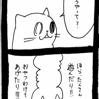 ドワーフキャットタオルちゃん41