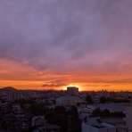 花の旅