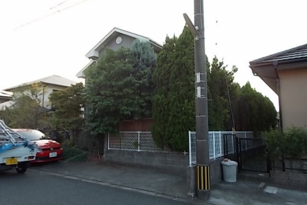 お庭の手入れや剪定なら小郡市 筑紫野市 久留米市の植木屋 浜田造園 ブルーアイス