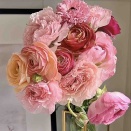 Before Valentine 💝 