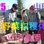 山田町に来るとこんなことできます！