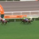 【競馬】香港チャンピオンズデー　日本馬が6頭出走