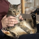 告知と雑談日記♡