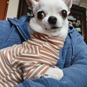 第二藤義丸で食材調達！ : イッちゃんの釣り日誌