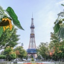 北海道グルメとかいう過大評価の産物
