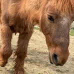 天王寺動物園スタッフブログ
