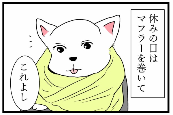 ちーちゃんっ🐾 - ちーちゃんと公園のお話