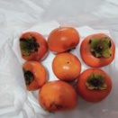 秋の味覚