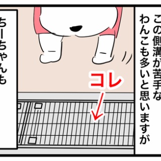 ちーちゃんっ🐾