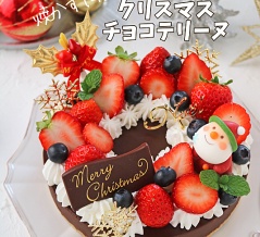 基本の材料４つ！焼かない超簡単クリスマスチョコテリーヌ